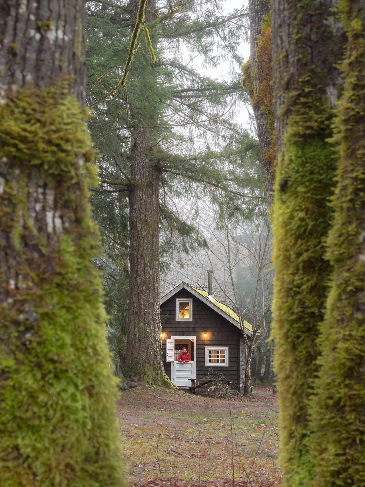 4 Resorts Near Brackendale Art Gallery That Deliver